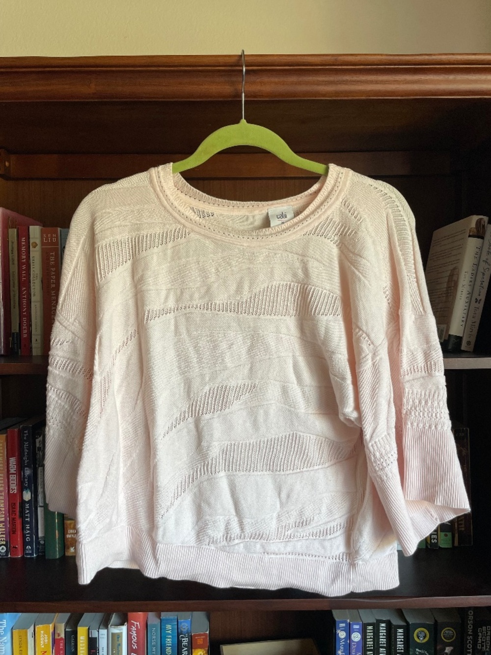 Cabi Shy Pullover Sweater